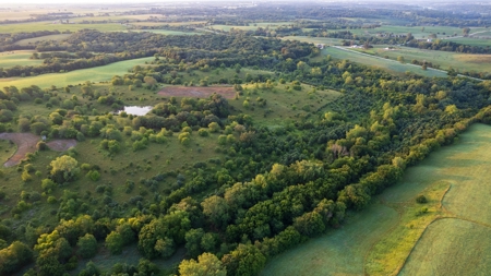 Prime Hunting and Recreational Tract w/ Building Sites - image 7