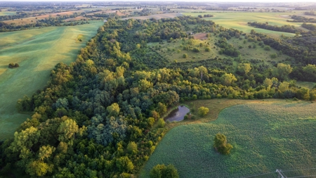 Prime Hunting and Recreational Tract w/ Building Sites - image 2