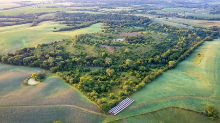 Prime Hunting and Recreational Tract w/ Building Sites - image 6
