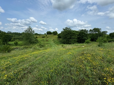 Prime Hunting and Recreational Tract w/ Building Sites - image 34