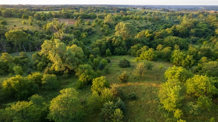 Prime Hunting and Recreational Tract w/ Building Sites - image 12