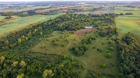 Prime Hunting and Recreational Tract w/ Building Sites - image 3