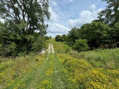 Prime Hunting and Recreational Tract w/ Building Sites - image 42