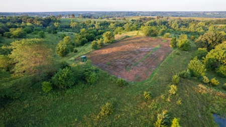 Prime Hunting and Recreational Tract w/ Building Sites - image 15