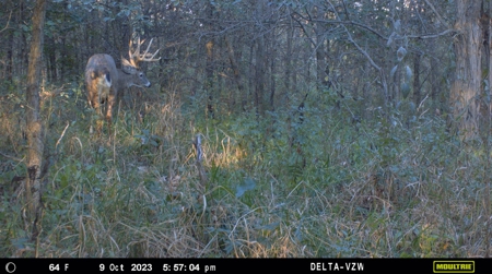 Prime Hunting and Recreational Tract w/ Building Sites - image 22