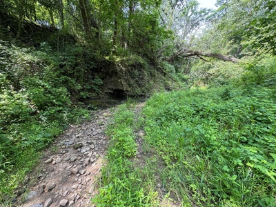 Prime Hunting and Recreational Tract w/ Building Sites - image 38