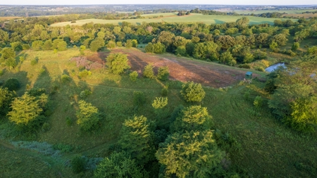 Prime Hunting and Recreational Tract w/ Building Sites - image 17