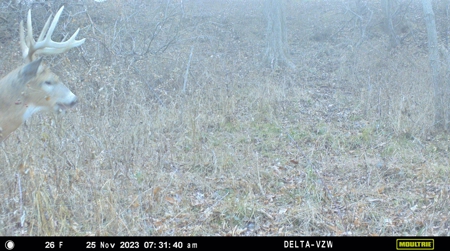 Prime Hunting and Recreational Tract w/ Building Sites - image 27