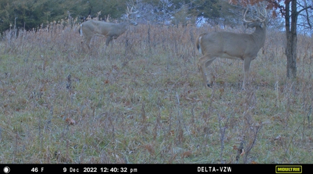 Prime Hunting and Recreational Tract w/ Building Sites - image 23