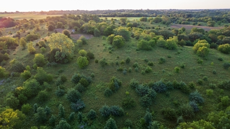 Prime Hunting and Recreational Tract w/ Building Sites - image 11