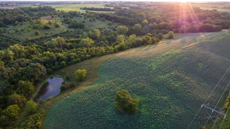 Prime Hunting and Recreational Tract w/ Building Sites - image 8