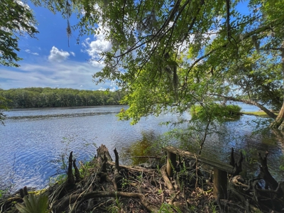 Suwannee Water Front Home For Sale - image 41