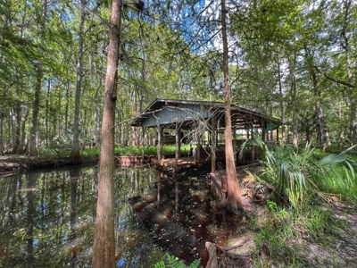 Suwannee Water Front Home For Sale - image 48