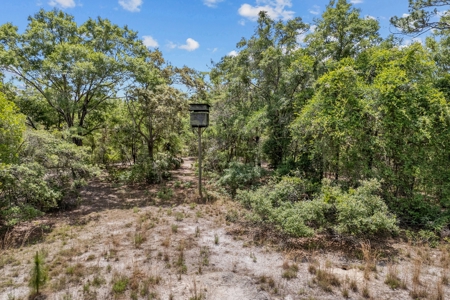 Suwannee Water Front Home For Sale - image 47