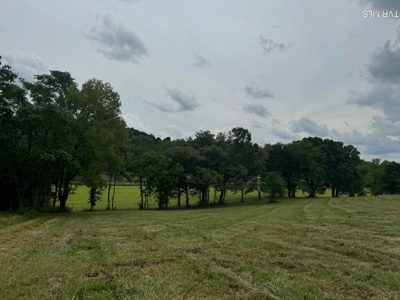 36 Farmable Acres in Greeneville, Tennessee - image 2