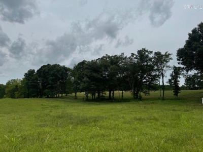 36 Farmable Acres in Greeneville, Tennessee - image 4