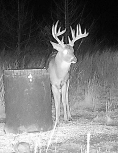 Barber County Kansas Hunting Property - image 26