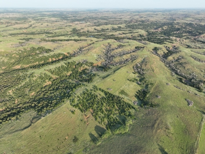 Barber County Kansas Hunting Property - image 4