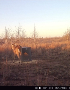 Barber County Kansas Hunting Property - image 34