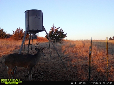 Barber County Kansas Hunting Property - image 18