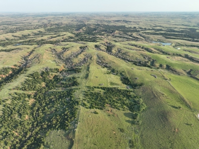 Barber County Kansas Hunting Property - image 2