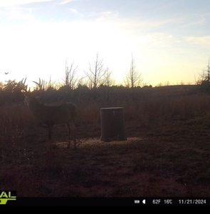 Barber County Kansas Hunting Property - image 30