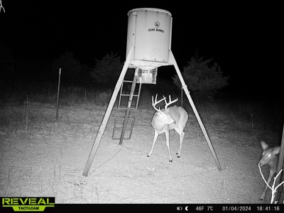 Barber County Kansas Hunting Property - image 25