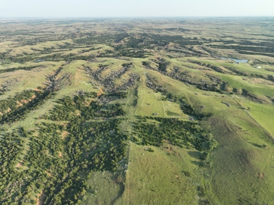 Barber County Kansas Hunting Property - image 3