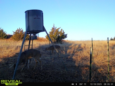 Barber County Kansas Hunting Property - image 19