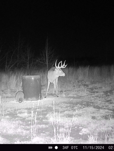 Barber County Kansas Hunting Property - image 31