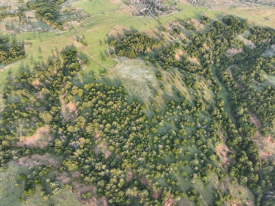 Barber County Kansas Hunting Property - image 11