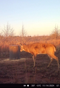 Barber County Kansas Hunting Property - image 33