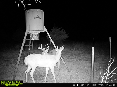 Barber County Kansas Hunting Property - image 21