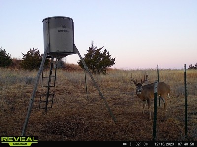 Barber County Kansas Hunting Property - image 17