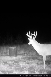 Barber County Kansas Hunting Property - image 35