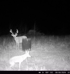 Barber County Kansas Hunting Property - image 36