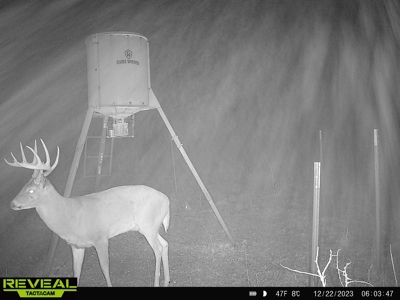 Barber County Kansas Hunting Property - image 24