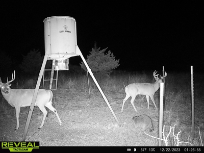 Barber County Kansas Hunting Property - image 23