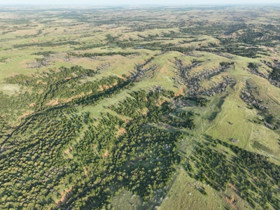 Barber County Kansas Hunting Property - image 16