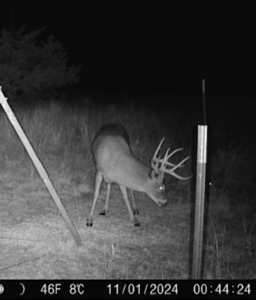 Barber County Kansas Hunting Property - image 27