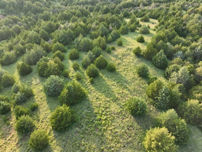 Barber County Kansas Hunting Property - image 15