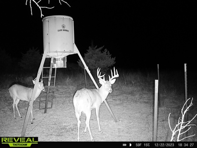 Barber County Kansas Hunting Property - image 22