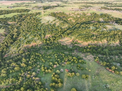 Barber County Kansas Hunting Property - image 9