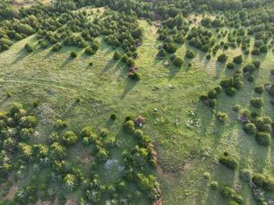 Barber County Kansas Hunting Property - image 12