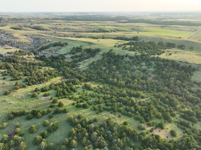 Barber County Kansas Hunting Property - image 10