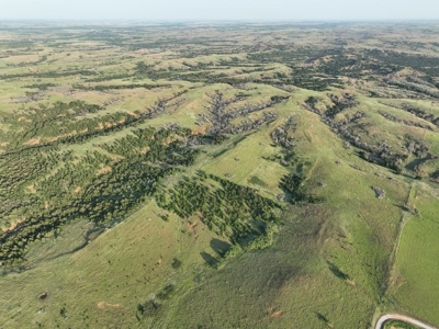 Barber County Kansas Hunting Property - image 1