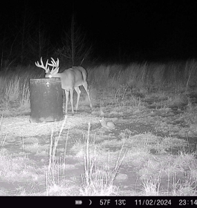 Barber County Kansas Hunting Property - image 28