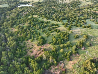 Barber County Kansas Hunting Property - image 8