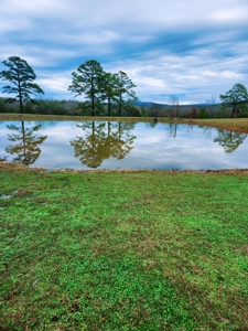 Ranch For Sale Stanley, Ok- Mountain Ranch W/ Country Home - image 7