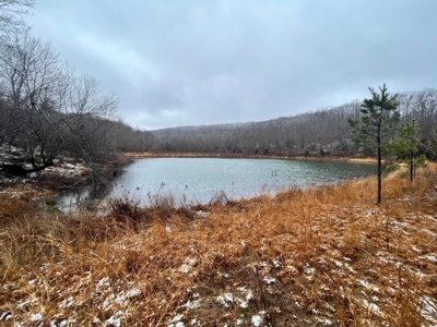 Land Bordering Ozark National Forest For Sale Newton Co, Ar - image 2